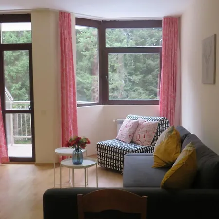 Mountain In Flora * Borovets